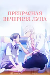 Прекрасная вечерняя луна смотреть